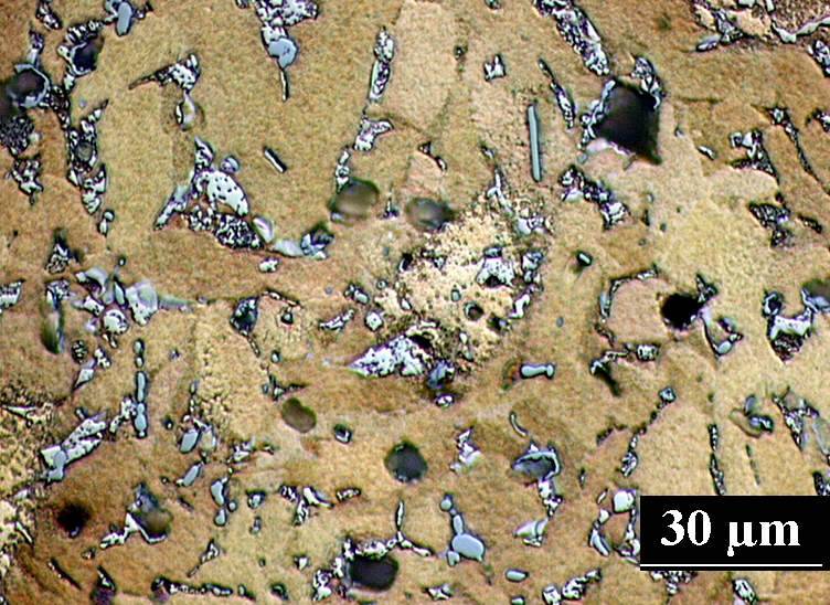 Distribution of silicon phases and Mg x P y phases in a forging alloy Fig. 5: Structure of a forging CuZn23Si2,5MgPBi alloy.