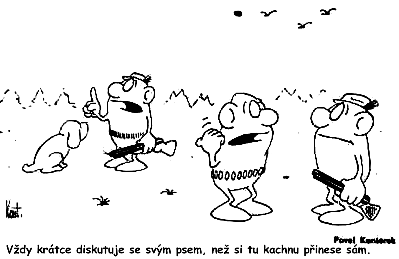 pomocí deklaratorního zákona, zajímalo by mě, zda vymyslí taky nějaký deklaratorní zákon, aby zabránila psychickému týrání. Například co s ironií?