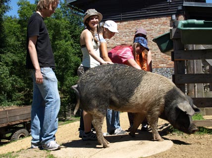 Výuková farma Výuková farma Suchopýr o.p.s.