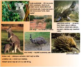 krajinách, které v Austrálii najdeme. Je zde fotografie suchého vnitrozemí Austrálie a trávových stromů, které v této zemi najdeme, a jsou pro ni typické.