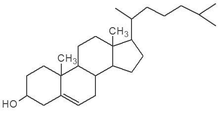 Triterpeny Z 6 jednotek izoprenu vznikají triterpeny, nejznámější z nich jsou cyklické steroidy. Základem je steran se 4 kruhy (cyklopentanoperhydrofenanthren) Rozdělení steroidů: 1. steroly 2.