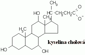 4. Žlučové kyseliny vznikají oxidací cholesterolu. Jsou obsaženy ve žluči, ta emulguje tuky (rozptyluje molekuly tuků) ve dvanáctníku, usnadňuji tak rozklad tuků. Nejvýznamnější je kyselina cholová.