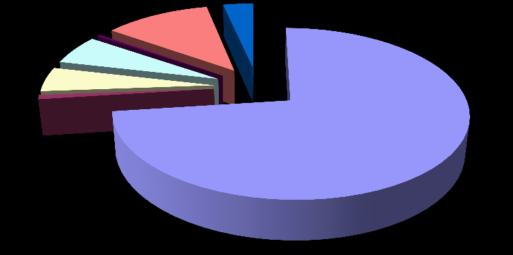 1013 Příčiny zásahů RLP v r.