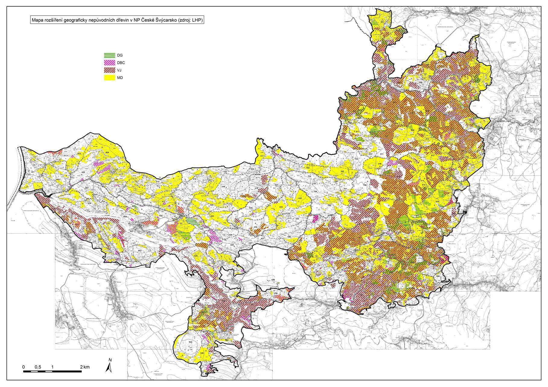 Lärche Netýkavka žláznatá Drüsiges Springkraut Geograficky nepůvodní druhy v NPČŠ a jejich zastoupení: Weymouthskiefer 2% Borovice vejmutovka Europäische Lärche 4% Modřín