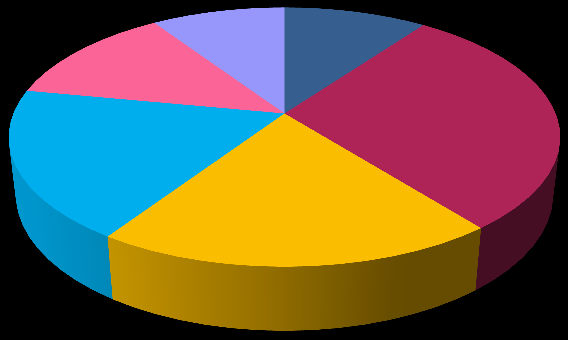 Struktura předmětů v oboru 13 % 19 % 9 % 10 % 20 % 29 % Matematika Fyzika Chemie Specializace Samost.