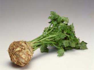 Méně obvyklé potraviny Celer Kořen celeru je bohatým zdrojem vitamínů B1, B2, B6 a C Obsahuje draslík, kyselinu listovou, hořčík, vápník, železo, fosfor Organický sodík zabraňuje přílišnému ukládání