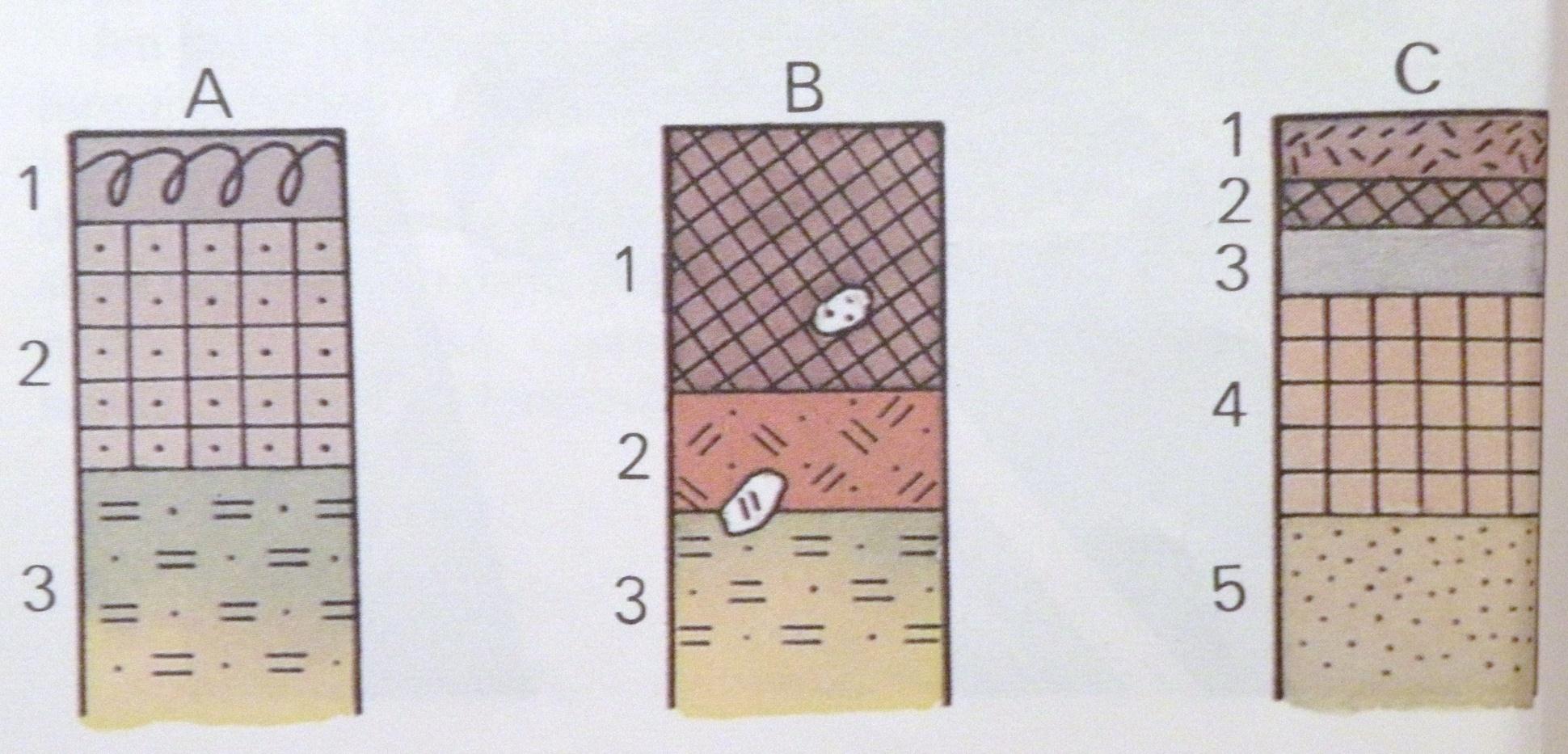 A: 1 hnědošedá ornice (2% humusu) 2 hnědý horizont 3 matečná hornina B: 1 šedočerná humusový horizont 2 obohacený horizont 3 matečná hornina Zakreslete si do sešitu a vysvětlete mezi nimi rozdíl