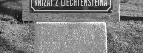 ) Přirozené právo dítěte na život uznané čl. 6 (1) Úmluvy o právech dítěte (1989) (č. 104/91 Sb.) Právo na respektování svého života od okamžiku početí čl.