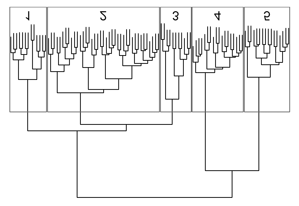 Zprávy Èes. Bot. Spoleè., Praha, 47: 159 178, 2012 171 Obr. 4. Dendrogram shlukové analýzy, která rozdìlila vegetaèní zápisy z údolí Vltavy do pìti vegetaèních typù, ohranièených šedými obdélníky s èíslem vegetaèního typu.