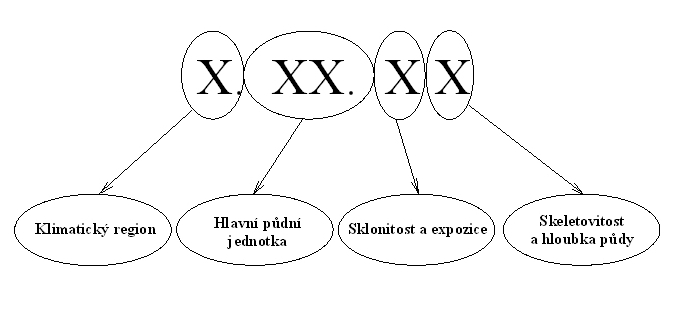 Bonitovaná půdně ekologická jednotka (BPEJ) základní mapovací a