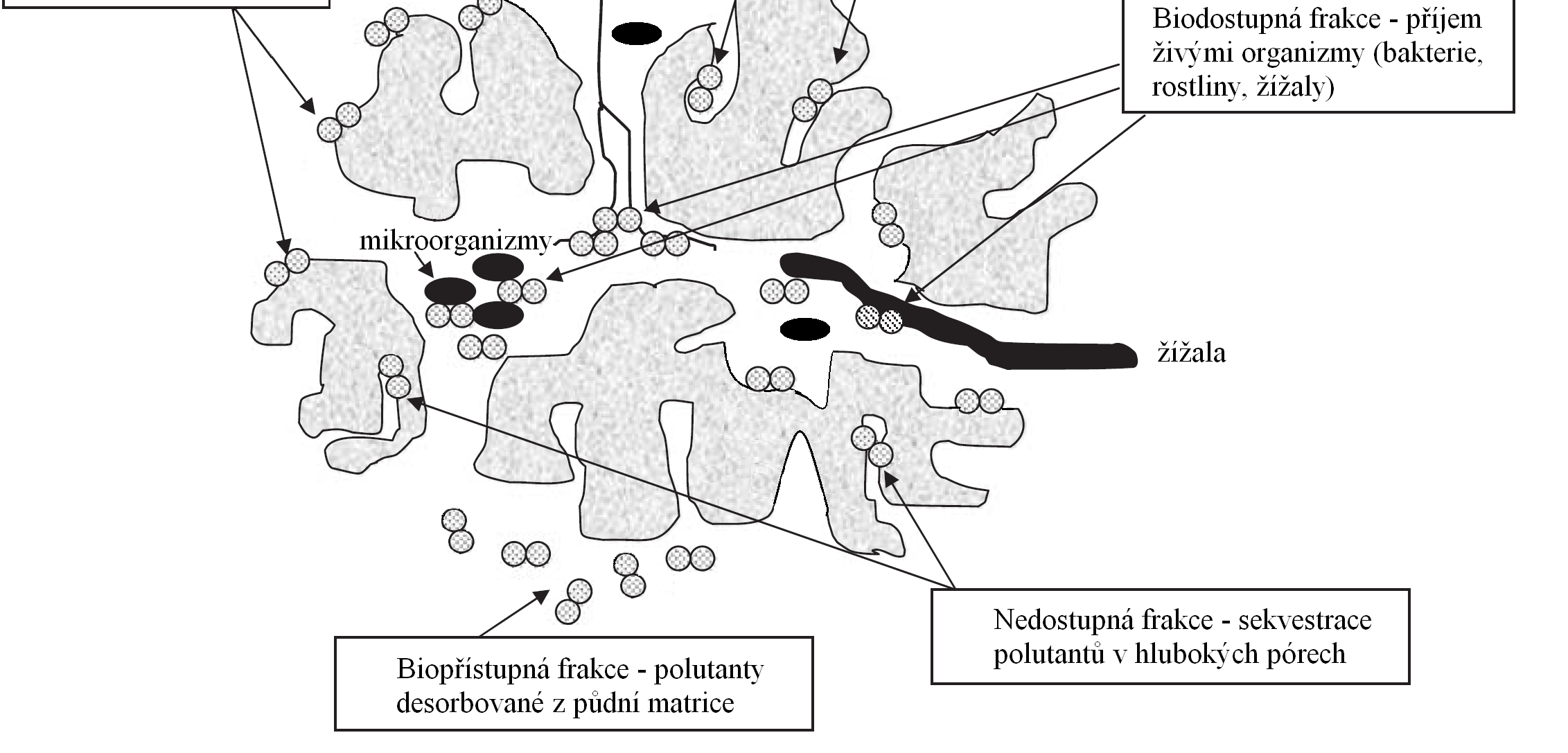 Dosažitelné je to látky, které se z kontaminovaných půd a sedimentů uvolní pomocí mírné extrakce.