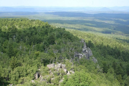 povrchu vyskytující se okolo vyvýšených míst, s různým úhlem sklonu, větším než 5 ) s výchozy skalních hornin na povrch terénu. Obrázek P16.22: Příklad skalnatých okrajů plošin 1; zdroj: J.