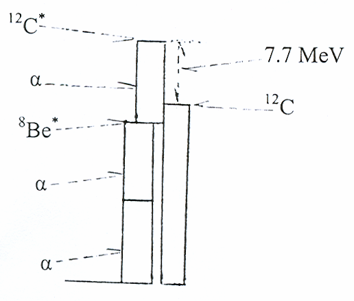 Po překonání tohoto úzkého hrdla může dále už bez problémů probíhat serie reakcí (α,γ): 12 C 16 O 20 Ne 24 Mg 28 Si atd.