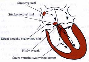 intenzita proudu, kterou srdce ještě podráždíme při velmi dlouhém dráždícím impulsu, a chronaxie CH, což je taková délka stimulačního impulsu, která odpovídá dráždícímu proudu, který je dvojnásobkem