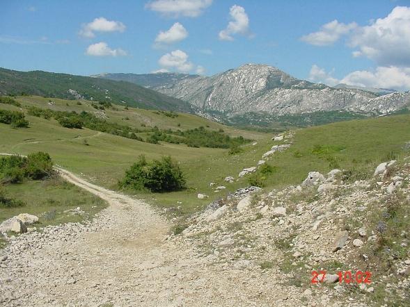 polje