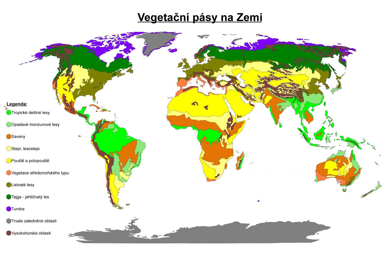 vegetační pásy na