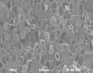 Obr. 3. SEM snímek povrchu lomu kompozitu z vysokohustotního polyetylénu (HDPE) plněného uhlíkovými sazemi ve formě koncentrátu v PE (50 hm.%), lehčeného 2 hm.% nadouvadla. Přiblížení snímku 100 µm.