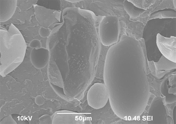 SEM snímek povrchu lomu kompozitu z vysokohustotního polyetylénu (HDPE) plněného uhlíkovými sazemi ve formě koncentrátu v PE (50 hm.%), lehčeného 2 hm.% nadouvadla. Přiblížení snímku 50 µm.