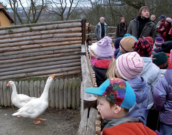 D I D A K T I K A zen tam, ale naopak, aby se obsah vzájemně doplňoval, navazoval na sebe.