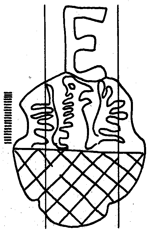 PETR DANěK JAN BAŤA Obrázek 1: Filigrán rukopisu orel v erbu s písmenem E. Rukopis je svázán do původní vcelku neporušené vazby, kterou tvoří lepenkové desky jejichž pokryvem je světlá useň.