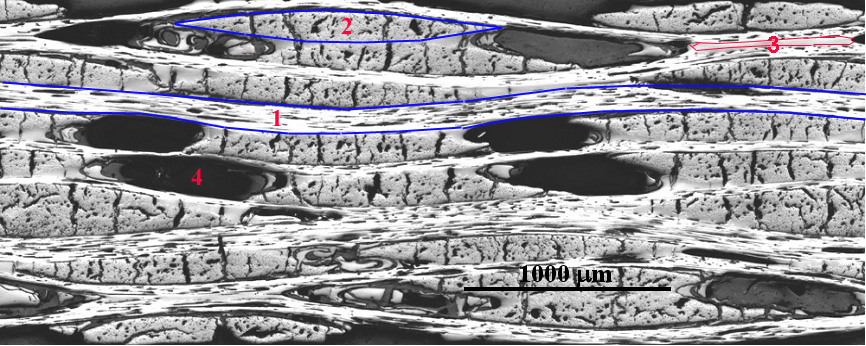 Fotografie mikrostruktury kompozitu C/C Rozlišen ení 1,7 µm/px Výztuž Uhlíkov ková tkanina v