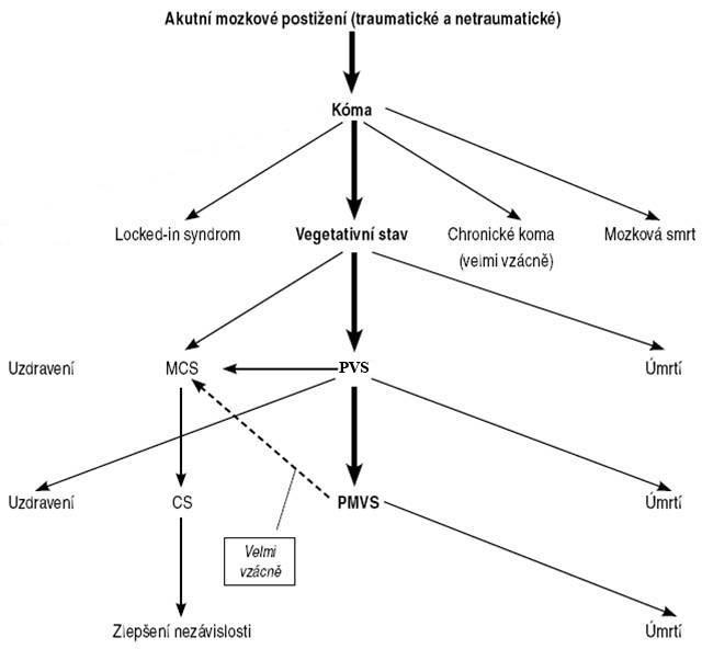 Obrázek 1 Možnosti vývoje klinického obrazu postižení mozku po mozkové lézi (upraveno- Doležil, Carbolová, 2007) Legenda: PVS- persistentní vegetativní stav; PMVS- permanentní vegetativní stav; MCS-