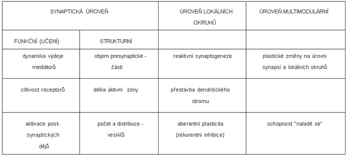 reaktivace přirozených mechanizmů nebo podáním farmak aktivujících vnitřní neuroplastické děje (Trojan aj, 2001). Přehled neuroplastických dějů je uveden v tabulce 7.