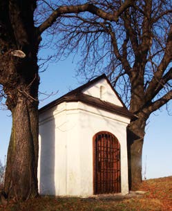 dřevěné kříže. Setkáme se zde však i se sloupky či sil o povolení k posvěcení sochy sv. Josefa, čemuž s obrazy zavěšenými na stromech. Většina objektů se bylo vyhověno 22.