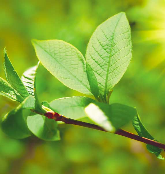 TREND Environmentální dopad zdravotnictví se může na první pohled zdát bezvýznamný, ale ve skutečnosti jsou nemocnice energeticky náročnými institucemi, které přispívají ke změně klimatu, ať už svou