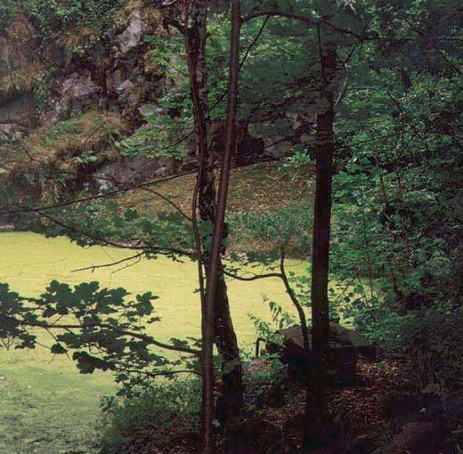 Nález u Drslavic kaïdopádnû v znamnû posunuje hranici areálu v skytu slíìáka úhorního (Lycosa vultuosa) severním i západním smûrem aï na Moravu.