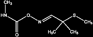 Přílohy Aktivita 3 Pravé jméno Aldicarb Pravé jméno Oxamyl Pravé jméno Carbofuran Vzhled 2-Metyl-2-(metylthio)propionaldehyd, Vzhled Vzhled 2-Dimetylamino-1-(metylthio)