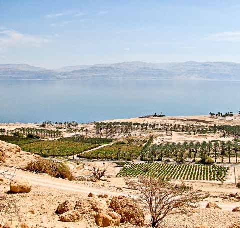 Chytré technologie i čerpání vody z Palestiny Voda je strategická surovina. Málokde to platí víc než v Izraeli. Více než polovinu jeho území zabírá poušť, a přesto se odsud vyváží třeba pomeranče.