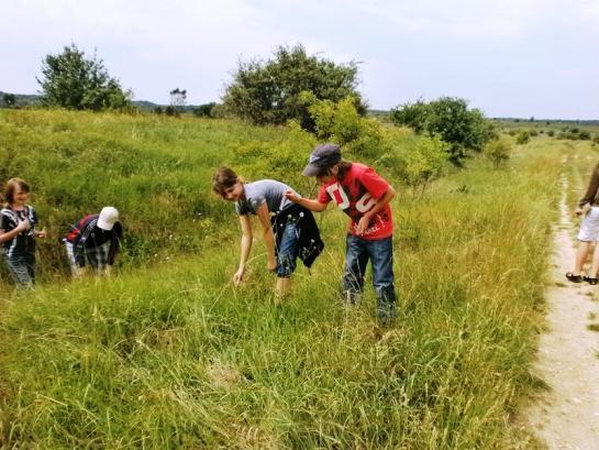 města a regionu, projekt Země EU, plnění úkolu v rámci projektu Recyklohraní.