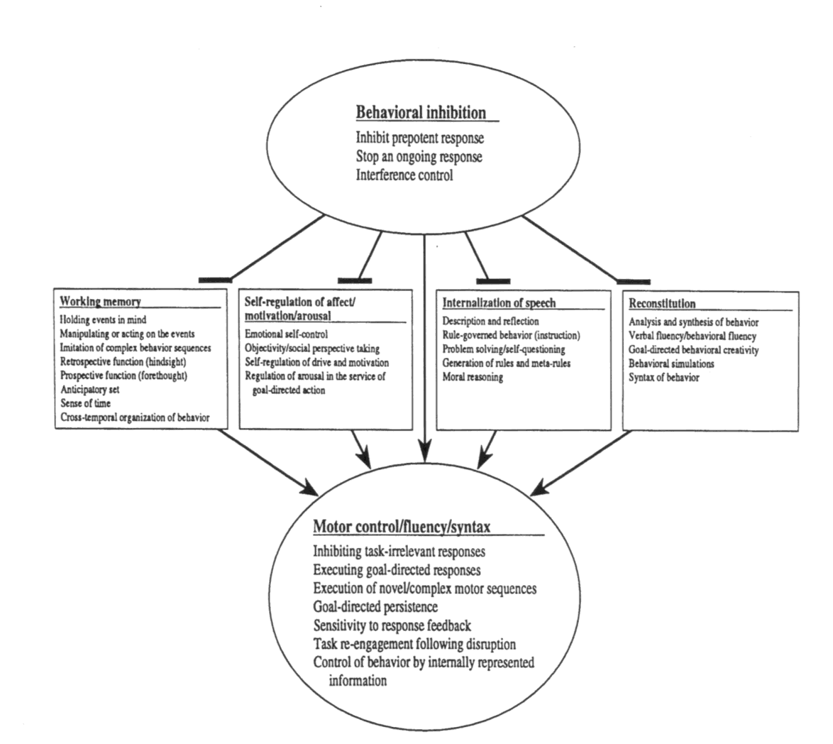 Výsledkem inhibičních procesů a exekutivních funkcí je pak motorická kontrola, motorická fluence a syntax.