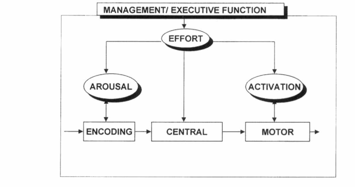 Obrázek č. 4 Kognitivně-energetický model. Převzato ze Sergeant (2000, s. 8) 2.