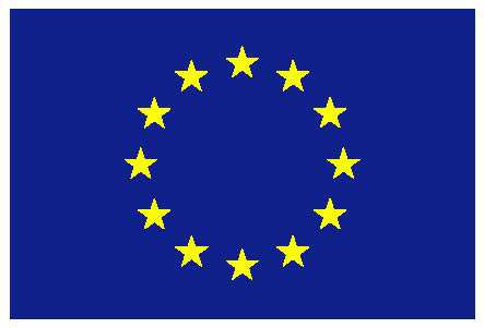 document has been produced with the financial assistance of the European Union.