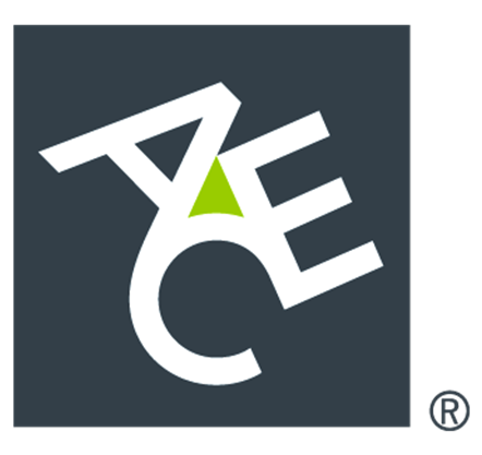 Pojistné podmínky pro pojištění majetku a přerušení provozu ACE European Group Ltd, organizační složka IBC, Pobřežní
