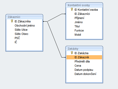 informaci v definovaném formátu: příjmení jako text, cenu jako číslo (třeba desetinné), hmotnost jako celé číslo, pohlaví jako ano/ne (muž/žena).