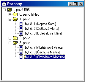 Pasportizace Z jednotlivých domů, bytů a nebytových prostor je vytvářen strom, ve kterém jsou zobrazovány v základní úrovni pasporty samostatných domů nebo domů s více vchody (čísly popisnými nebo