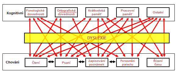 Dyslexie znamená víc než jen potíže se čtením a psaním Většina lidí se u osoby s dyslexií soustředí na obtíže při čtení a psaní.