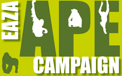 Kampaň EAZA na ochranu velkých primátů Souhrn září 2010 www.apecampaign.