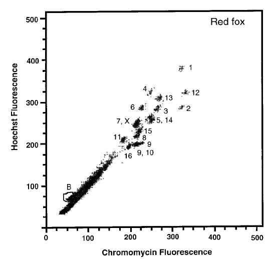 Flow analýza karyotypu liška (Vulpes vulpes) 17 Figure. Flow karyotype of the red fox with chromosomal assignments.