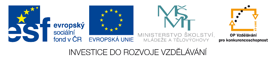 Sborník referátů účastníků projektu CZ.1.07/1.3.10/02.