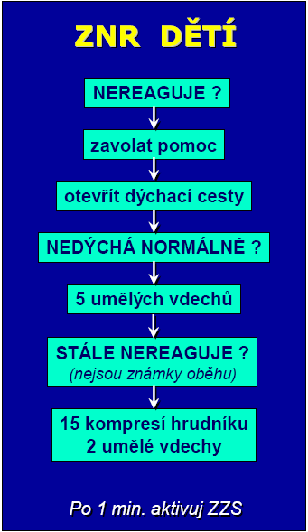 Obr. 30 Základní neodkladná resuscitace dětí Modifikace postupů ZNR dospělých pro uţití u dětí: Před zahájením kompresí aplikuj 5 umělých dechů - dýchání z plic do plic u dítěte (obr.