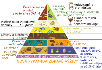 vitaminů a vlákniny. Mezi základní sloţky potravy patří sacharidy, bílkoviny a tuky (Diensbier, Skala, 2001).