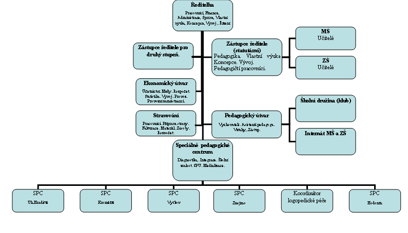 Organizační