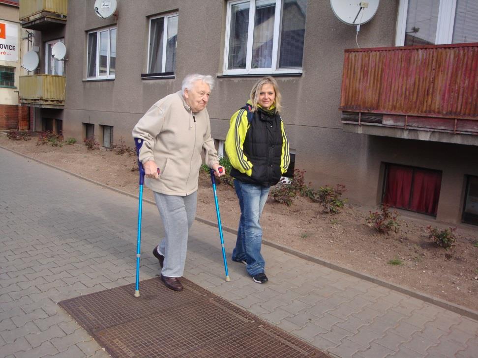 Poskytování služby Doprovod při vycházce Dovoz