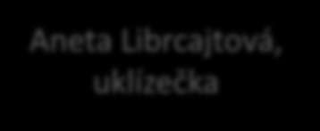 Add 2) základní informace Organizační struktura v r. 2014 Bc. Zlatuše Lüftnerová ředitelka Bc. Eva Zelenková sociální pracovník Kamila Krausová admin.