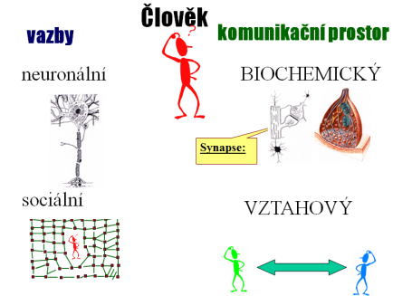 MOJE = TVOJE MUDr. Petr TARABA.