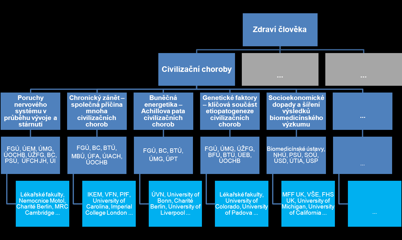 Strategie rozvoje AV ČR Příklad: Výzkumný okruh: Zdraví člověka